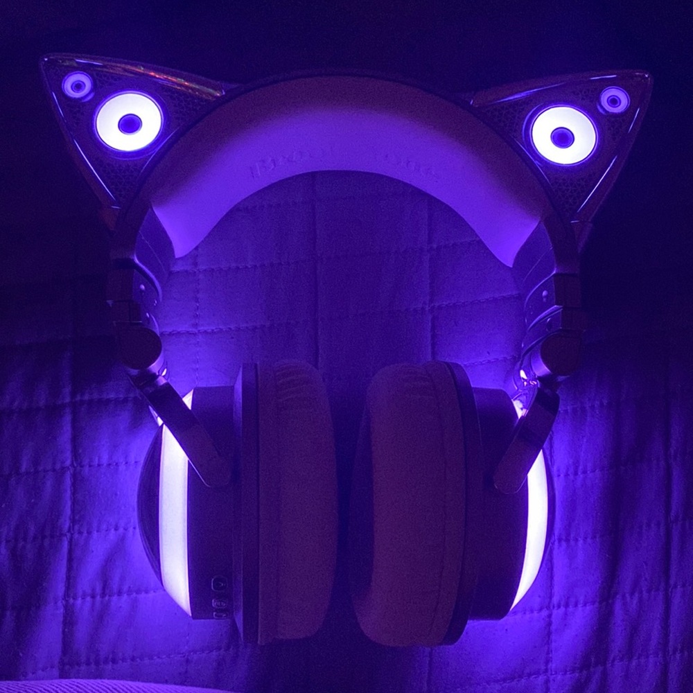 Ariana Grande Limited Edition Cat Ear Headphones